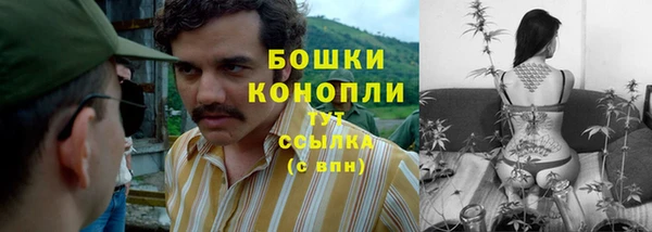 винт Богданович