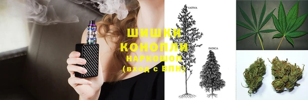 винт Богданович